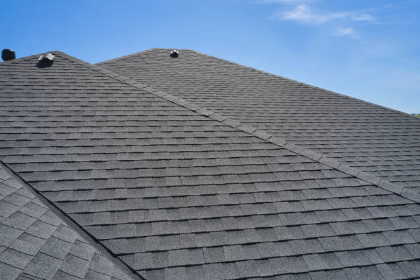 Best Roof Ventilation Installation  in Gages Lake, IL