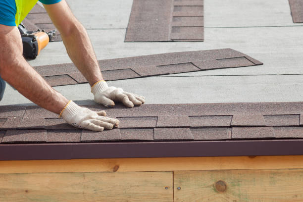 Best Asphalt Shingle Roofing  in Gages Lake, IL